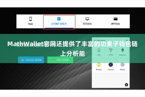 MathWallet官网还提供了丰富的功麦子钱包链上分析能